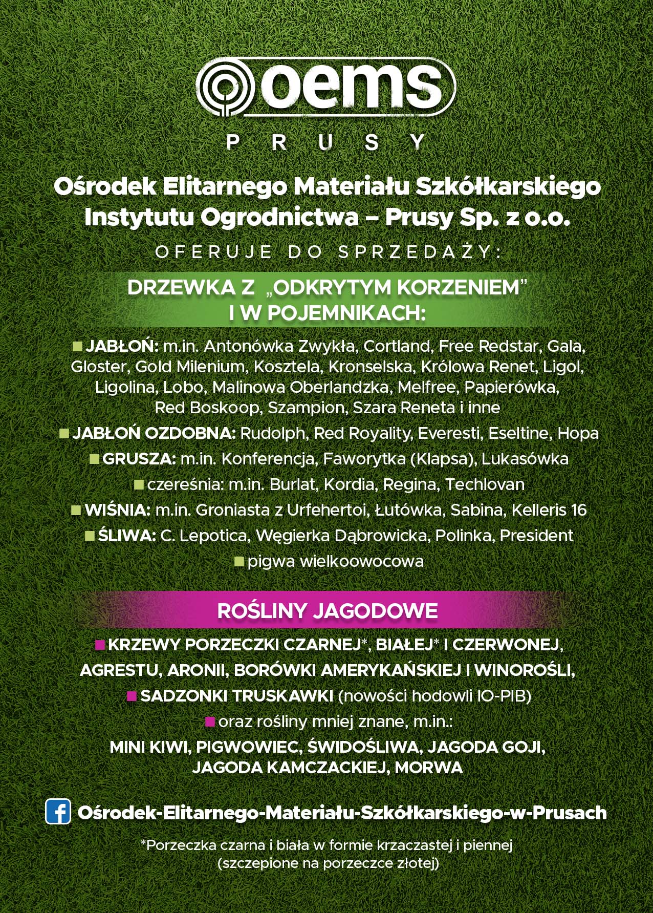 owocowa jesien 2023 C